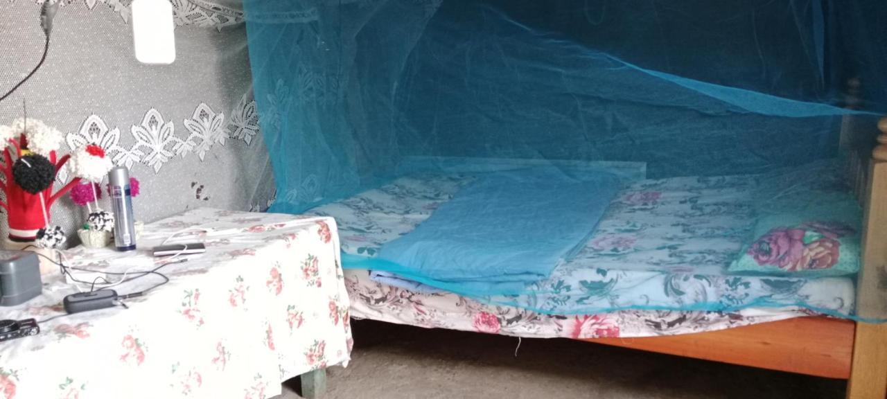 Maasai Homestay Camping Sekenani المظهر الخارجي الصورة