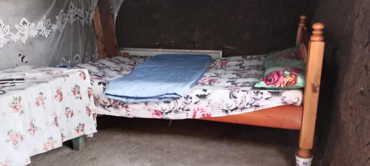Maasai Homestay Camping Sekenani المظهر الخارجي الصورة