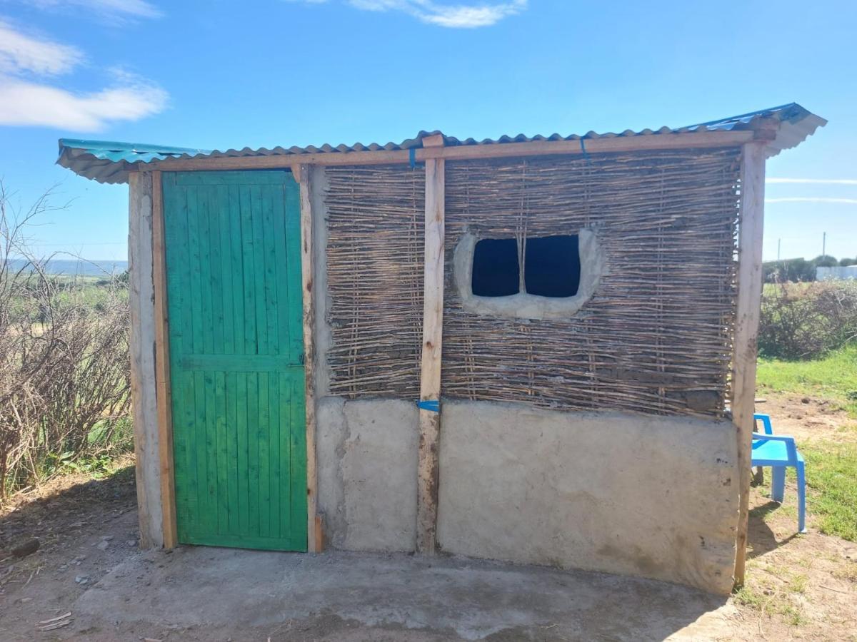 Maasai Homestay Camping Sekenani المظهر الخارجي الصورة